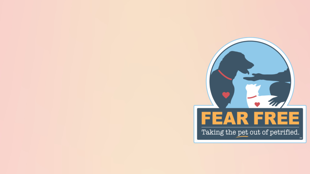 Blog+header+fear+free+certified+3
