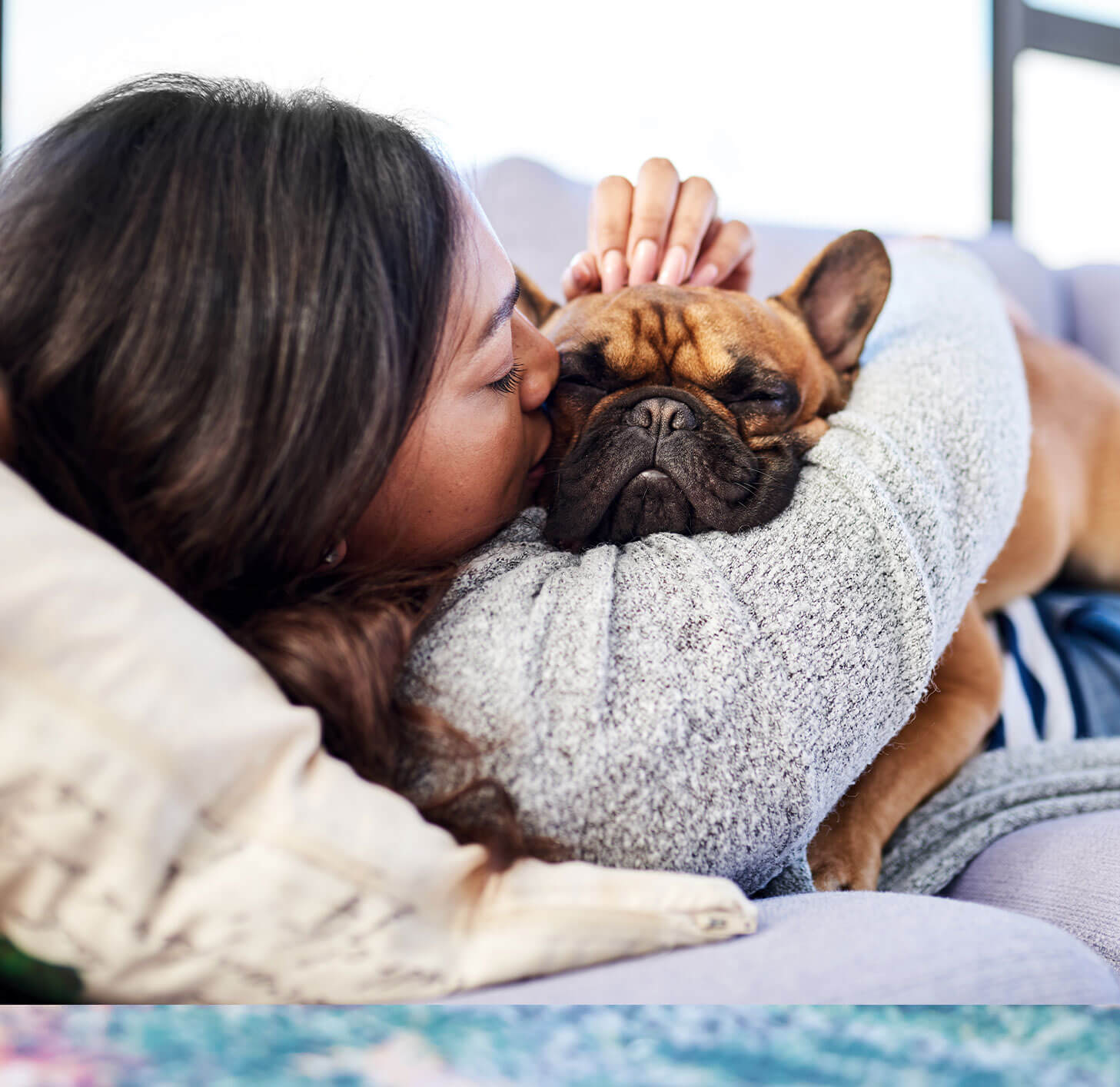 Pet Surgery | Furever Family Veterinary Care Center Pet Surgery | Furever Family Veterinary Care Center
